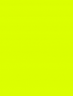 LIME NEON АКЦИЯ $2.90